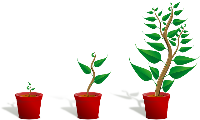 Les stratégies de croissance pour une petite entreprise